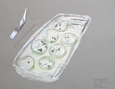 ellen's desk - Stonehenge Riverside Project