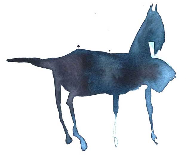 american horse
