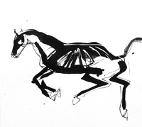 black horse 10