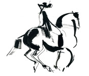 black horse 5